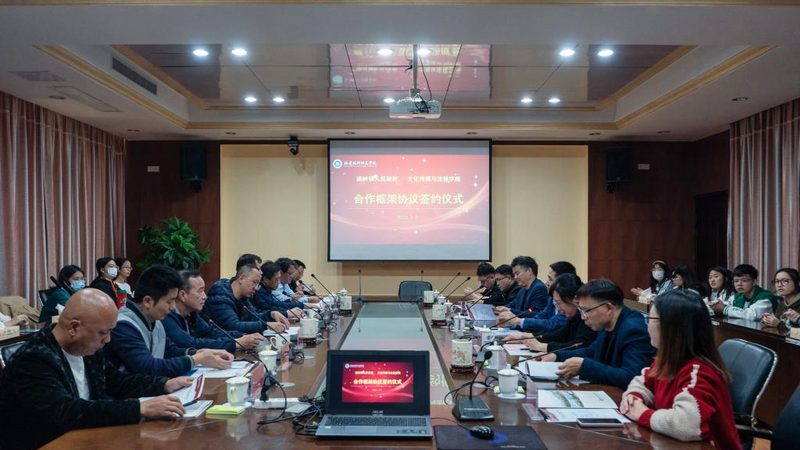 品牌设计全案：价格背后的考量因素